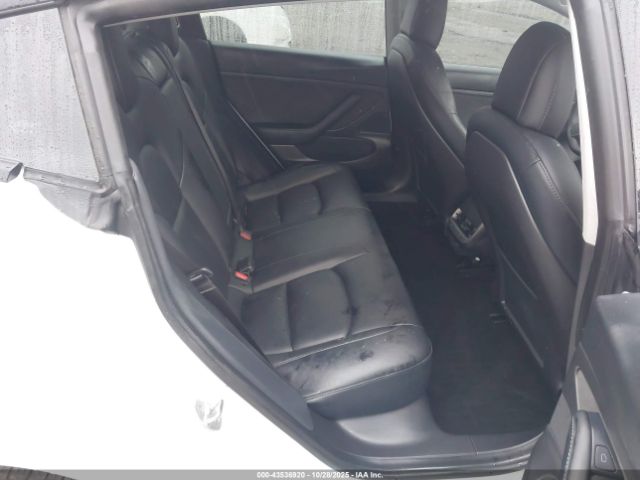 2021 TESLA MODEL 3 5YJ3E1EA2MF913341 Photo 7