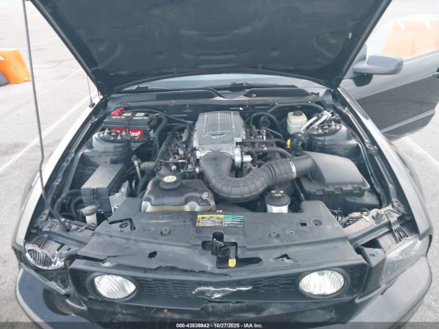 2006 FORD MUSTANG 1ZVHT85H165118302 Photo 9