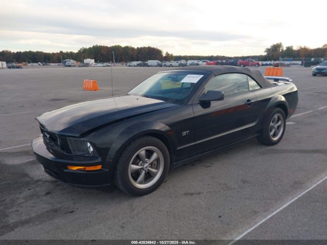 2006 FORD MUSTANG 1ZVHT85H165118302 Photo 1