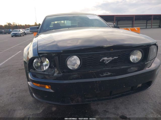 2006 FORD MUSTANG 1ZVHT85H165118302 Photo 5