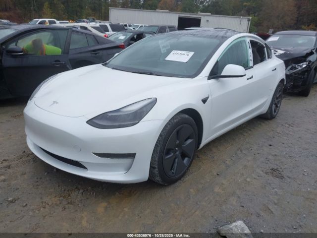 2023 TESLA MODEL 3 5YJ3E1EA2PF560510 Photo 1