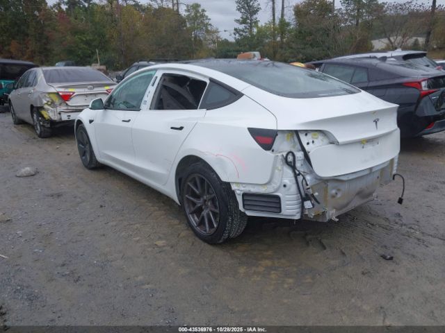 2023 TESLA MODEL 3 5YJ3E1EA2PF560510 Photo 2