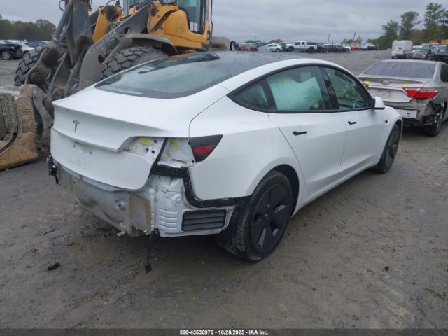 2023 TESLA MODEL 3 5YJ3E1EA2PF560510 Photo 3