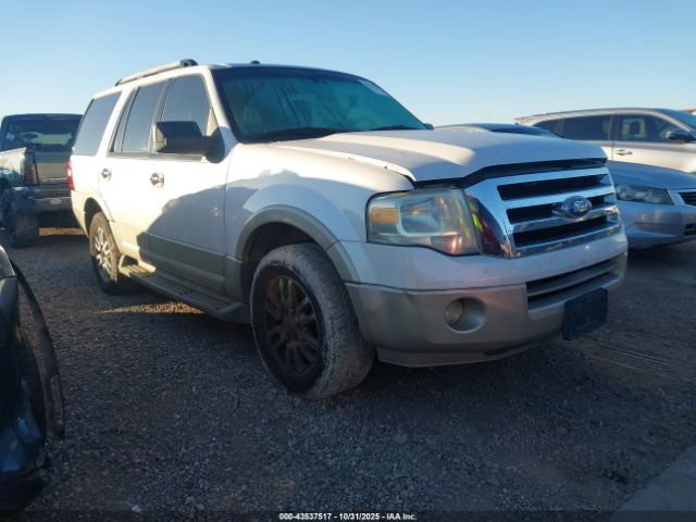 2010 FORD EXPEDITION 1FMJU1H54AEA34828