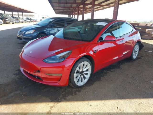2021 TESLA MODEL 3 5YJ3E1EA1MF913444 Photo 1