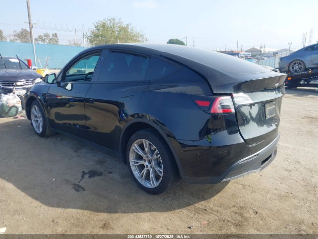 2024 TESLA MODEL Y 7SAYGDEE3RF063296 Photo 2