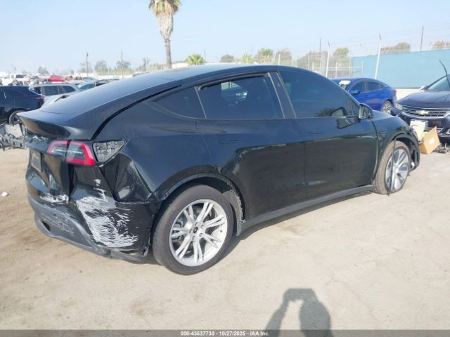 2024 TESLA MODEL Y 7SAYGDEE3RF063296 Photo 3