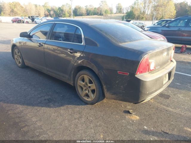 2011 CHEVROLET MALIBU 1G1ZA5EU4BF207545 Photo 2