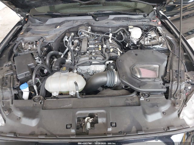 Ford Mustang Ecoboost Premium Fastback 2023 1FA6P8THXP5100227 Image 10