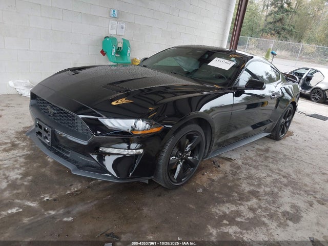 Ford Mustang Ecoboost Premium Fastback 2023 1FA6P8THXP5100227 Image 2