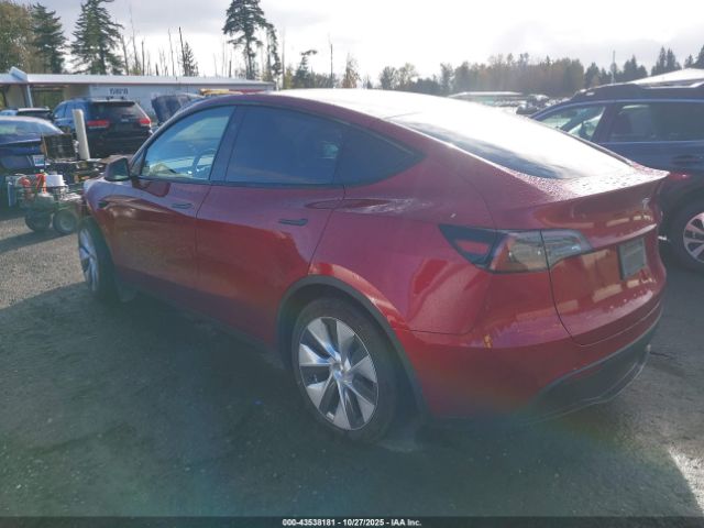 2024 TESLA MODEL Y 7SAYGDED7RF041311 Photo 2