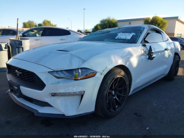 2021 FORD MUSTANG 1FA6P8TH2M5151751 Photo 1