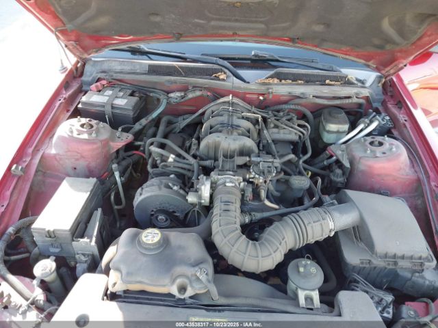 2005 FORD MUSTANG 1ZVFT80N555219507 Photo 9