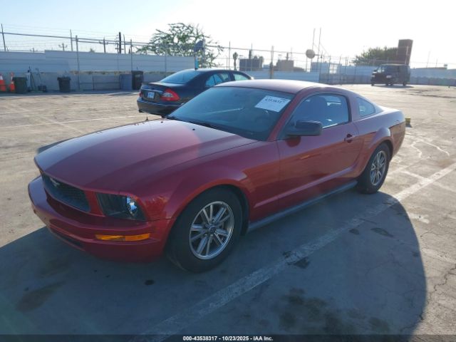 2005 FORD MUSTANG 1ZVFT80N555219507 Photo 1