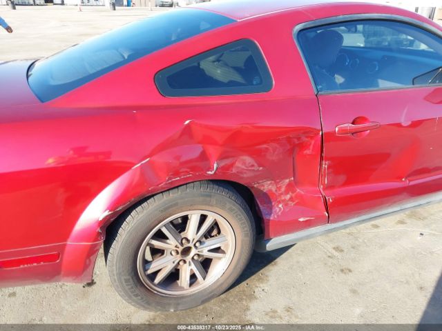 2005 FORD MUSTANG 1ZVFT80N555219507 Photo 5