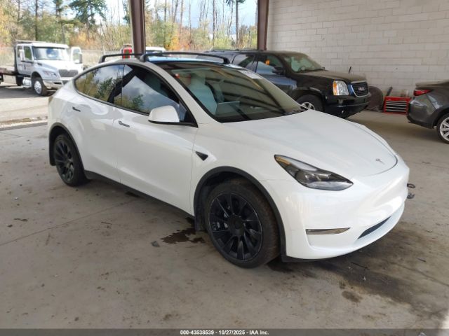 2023 TESLA MODEL Y 7SAYGAEE0PF641138 Photo 0