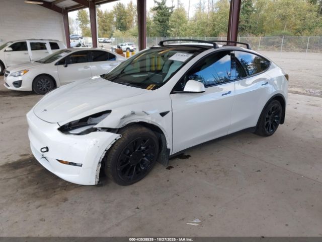 2023 TESLA MODEL Y 7SAYGAEE0PF641138 Photo 1