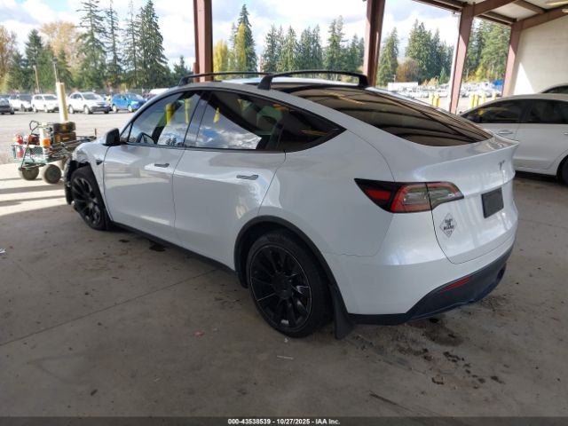 2023 TESLA MODEL Y 7SAYGAEE0PF641138 Photo 2