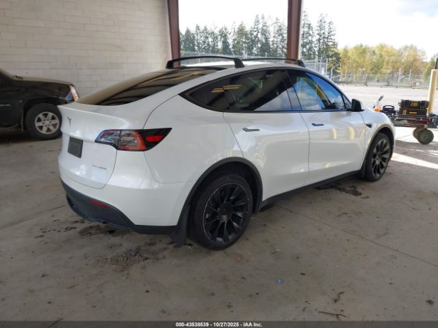 2023 TESLA MODEL Y 7SAYGAEE0PF641138 Photo 3