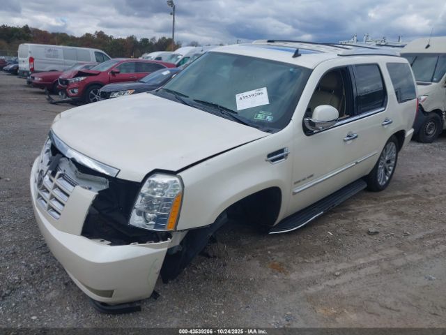 2009 CADILLAC ESCALADE 1GYFK23219R212129 Photo 1