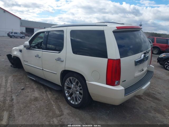 2009 CADILLAC ESCALADE 1GYFK23219R212129 Photo 2