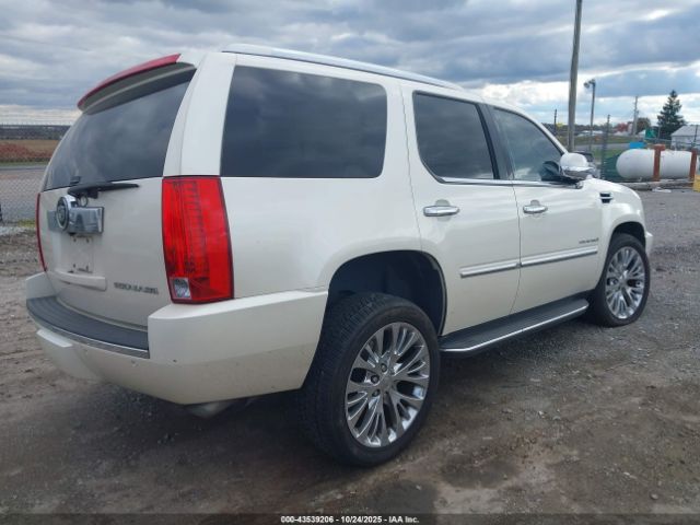 2009 CADILLAC ESCALADE 1GYFK23219R212129 Photo 3