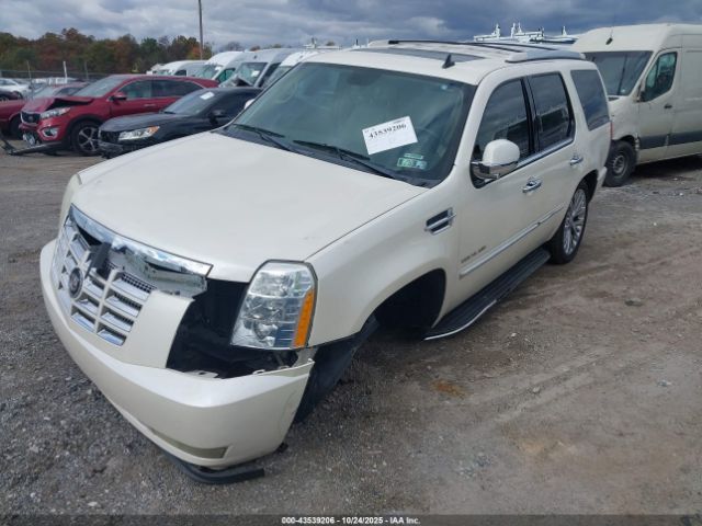 2009 CADILLAC ESCALADE 1GYFK23219R212129 Photo 5