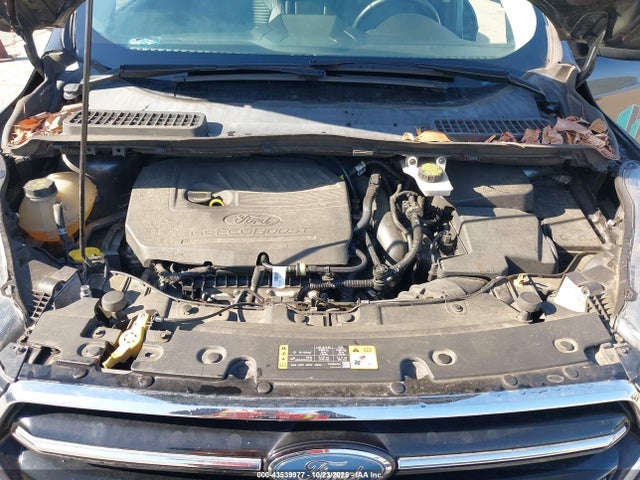Ford ESCAPE SE 2017 1FMCU0GD7HUC27177 Image 10