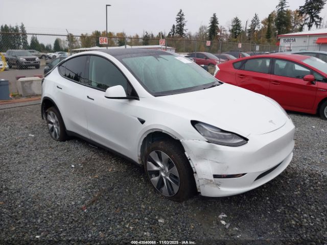 2021 TESLA MODEL Y 5YJYGDEE1MF160180 Photo 0