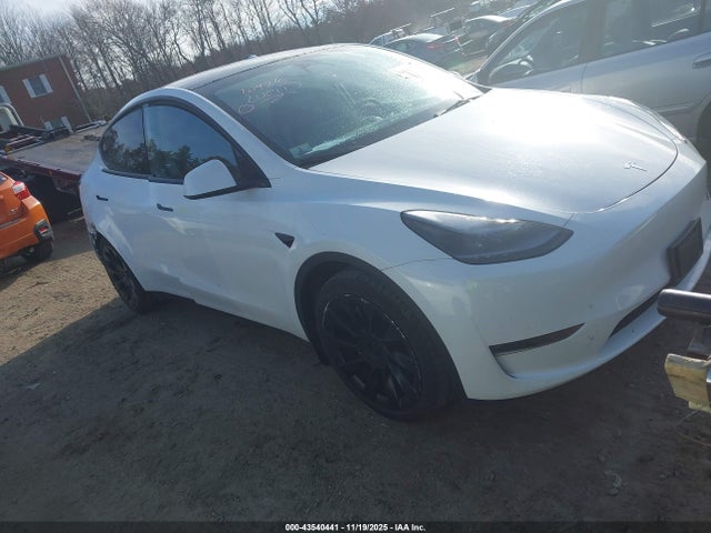 2023 TESLA MODEL Y 7SAYGDEE6PA080216 Photo 0