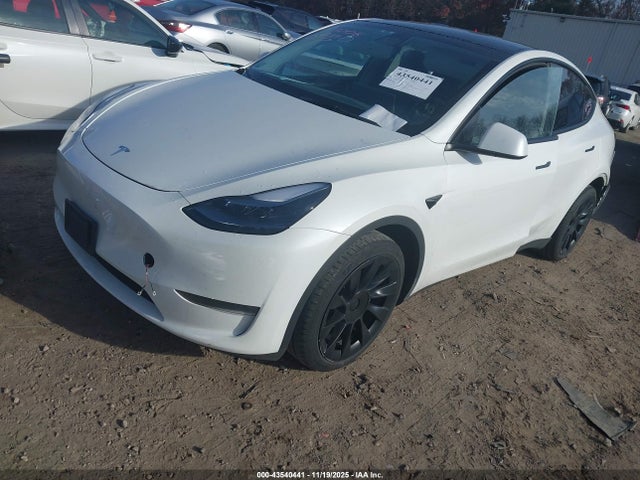 2023 TESLA MODEL Y 7SAYGDEE6PA080216 Photo 1