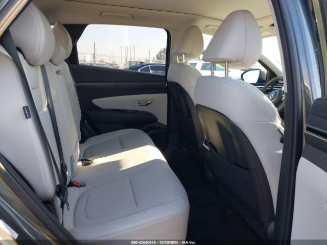 2024 HYUNDAI TUCSON HYBRID KM8JCCD14RU214202 Photo 7