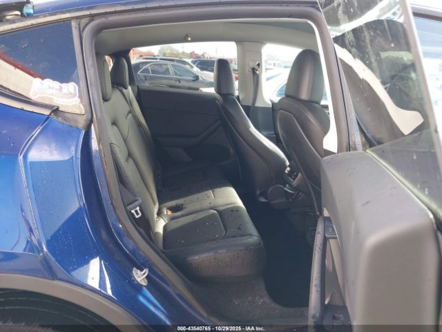 2023 TESLA MODEL Y 7SAYGDEE3PF788412 Photo 7