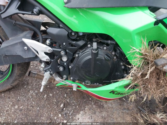 2024 KAWASAKI EX500 ML5EXGJ12RDA06807 Photo 7