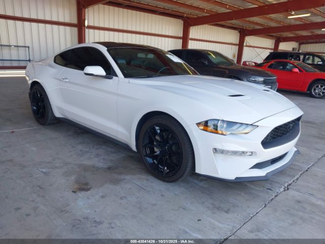 2019 FORD MUSTANG 1FA6P8TH5K5131099