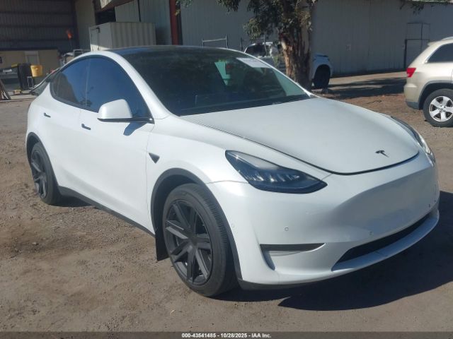 2020 TESLA MODEL Y 5YJYGDEE8LF015281