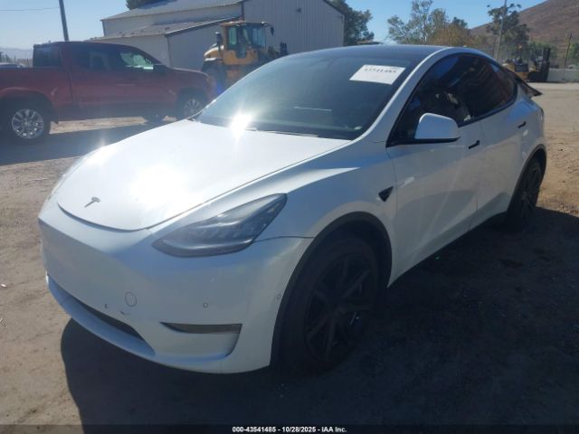 2020 TESLA MODEL Y 5YJYGDEE8LF015281 Photo 1