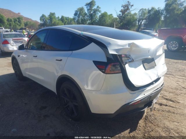 2020 TESLA MODEL Y 5YJYGDEE8LF015281 Photo 2