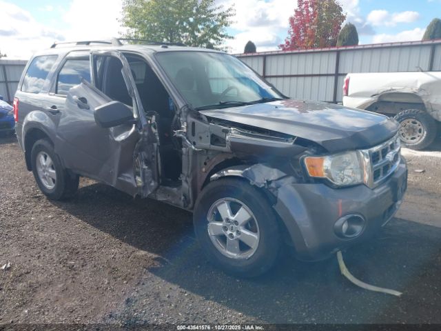 2009 FORD ESCAPE 1FMCU93709KB26676