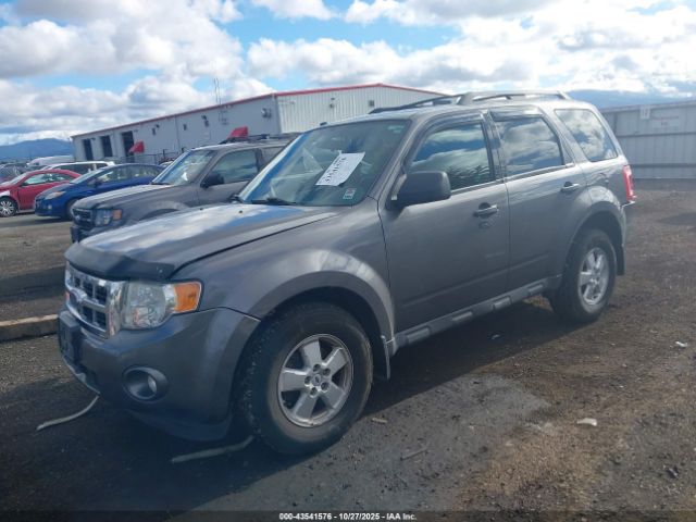 2009 FORD ESCAPE 1FMCU93709KB26676 Photo 1