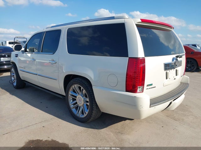 2010 CADILLAC ESCALADE ESV 1GYUKKEF2AR184319 Photo 2