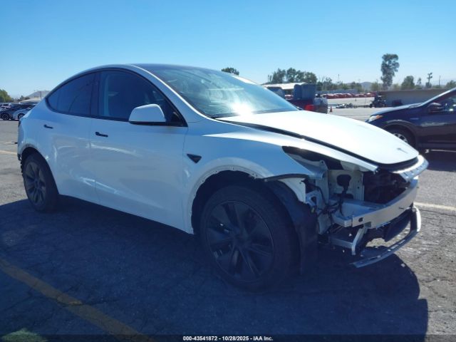 2024 TESLA MODEL Y 7SAYGDED0RF170037 Photo 0