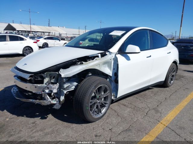 2024 TESLA MODEL Y 7SAYGDED0RF170037 Photo 1