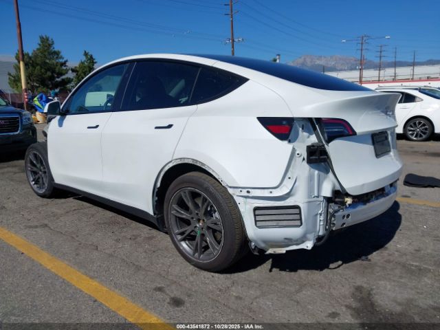 2024 TESLA MODEL Y 7SAYGDED0RF170037 Photo 2