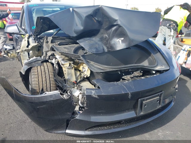 2024 TESLA MODEL 3 5YJ3E1EB9RF753376 Photo 5