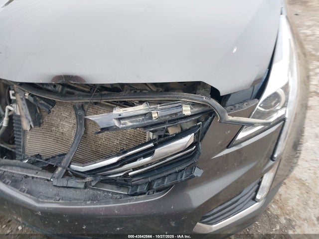 43542566 :رقم المزاد ، 1GYKNARS3KZ199140 vin ، 2019 Cadillac Xt5 Standard مزاد بيع