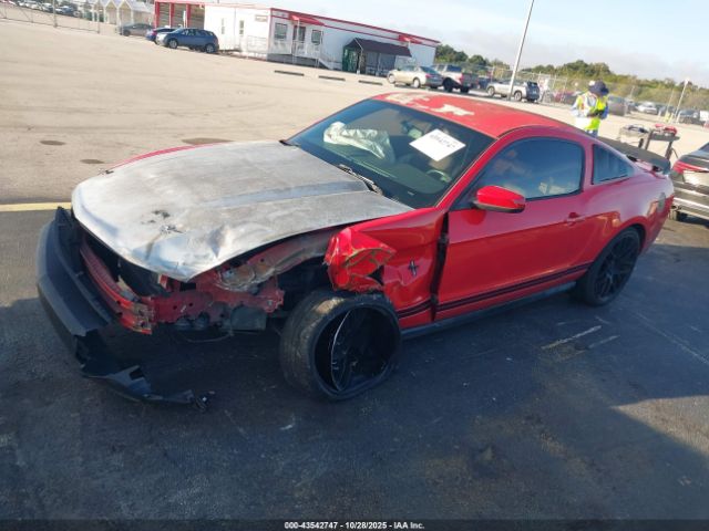 2011 FORD MUSTANG 1ZVBP8AM2B5104173 Photo 1