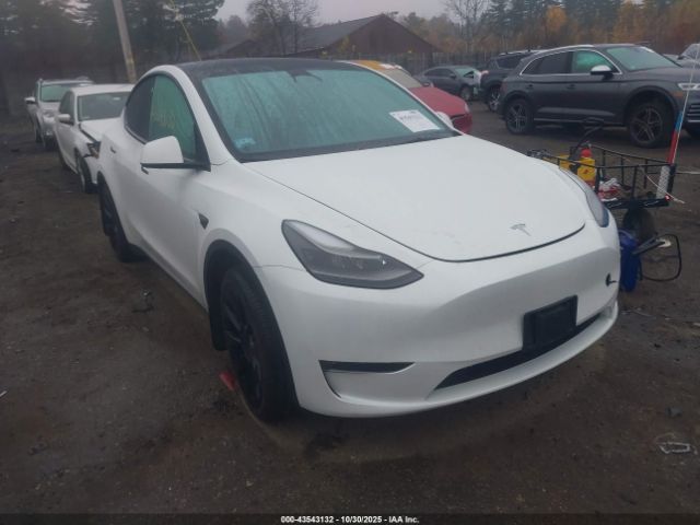 2023 TESLA MODEL Y 7SAYGAEE7PF630072