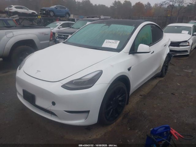 2023 TESLA MODEL Y 7SAYGAEE7PF630072 Photo 1