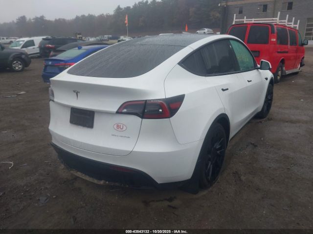 2023 TESLA MODEL Y 7SAYGAEE7PF630072 Photo 3
